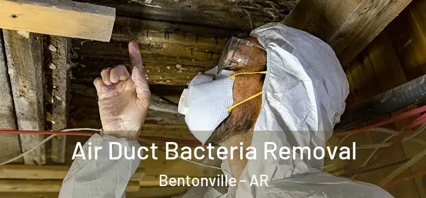  Air Duct Bacteria Removal Bentonville - AR
