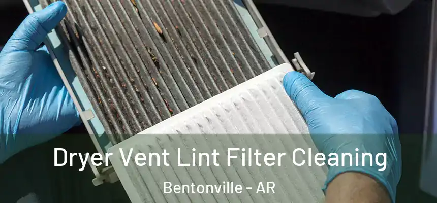 Dryer Vent Lint Filter Cleaning Bentonville - AR