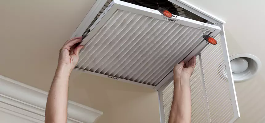 Preventive Cockroach-Proofing for Ducts in Bentonville