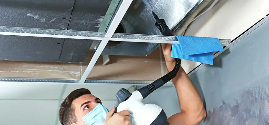 Our Air Duct Rodent Removal Services in Bentonville, AR
