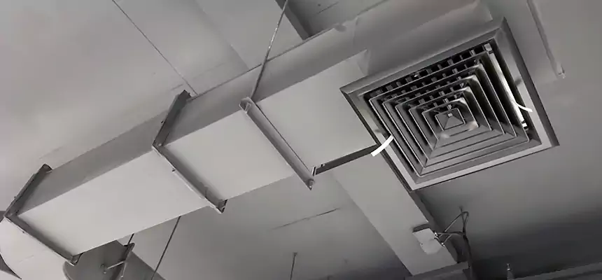 Restorative Allergy Relief Vent Cleaning – Coil, Blower & Housing Detail in Bentonville