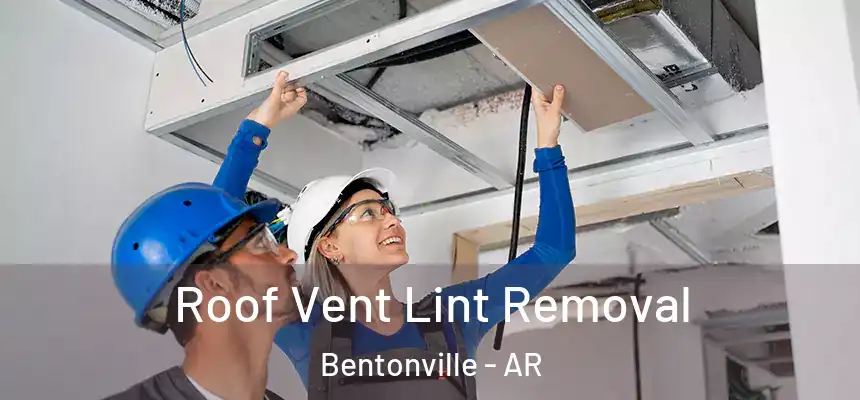  Roof Vent Lint Removal Bentonville - AR