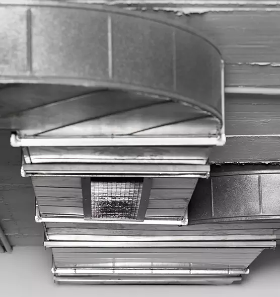 Professional Air Duct Pet Hair Removal in Bentonville, AR